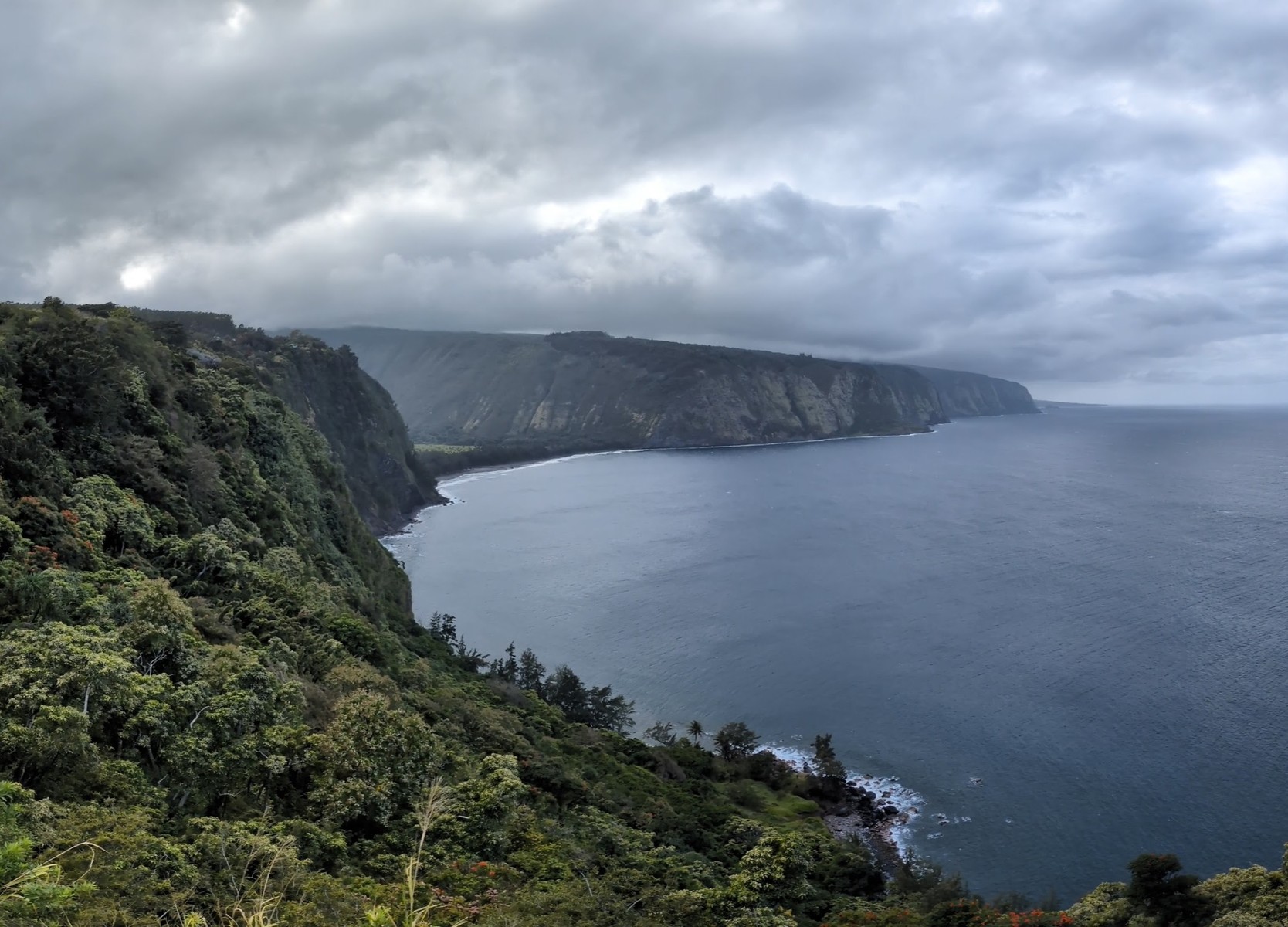 Big Island Hawaiʻi coastline — lush cliffs meeting the Pacific Ocean